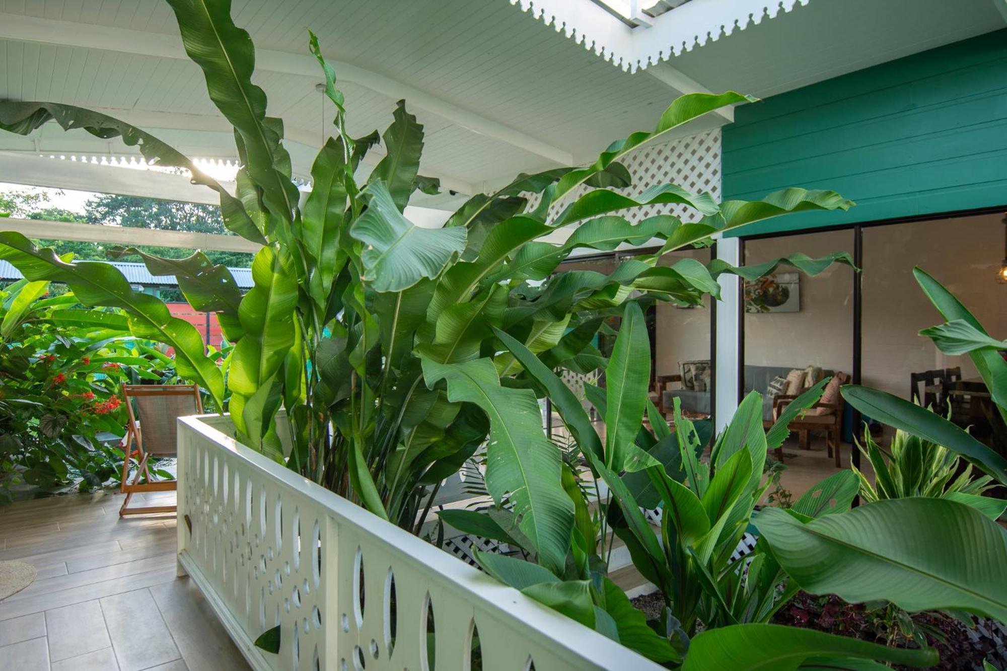 Namaitami Casa Hermosa Con Ac Y Piscina A Solo 650 Metros Del Parque Nacional Cahuita Exterior foto
